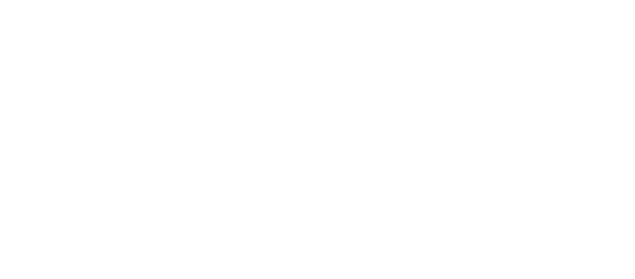 Sion Energia
